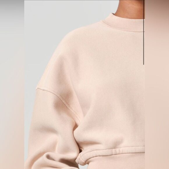 Agolde Women’s Size Small Tan Beige Kit Cropped French Terry Interior Sweatshirt - Picture 7 of 15